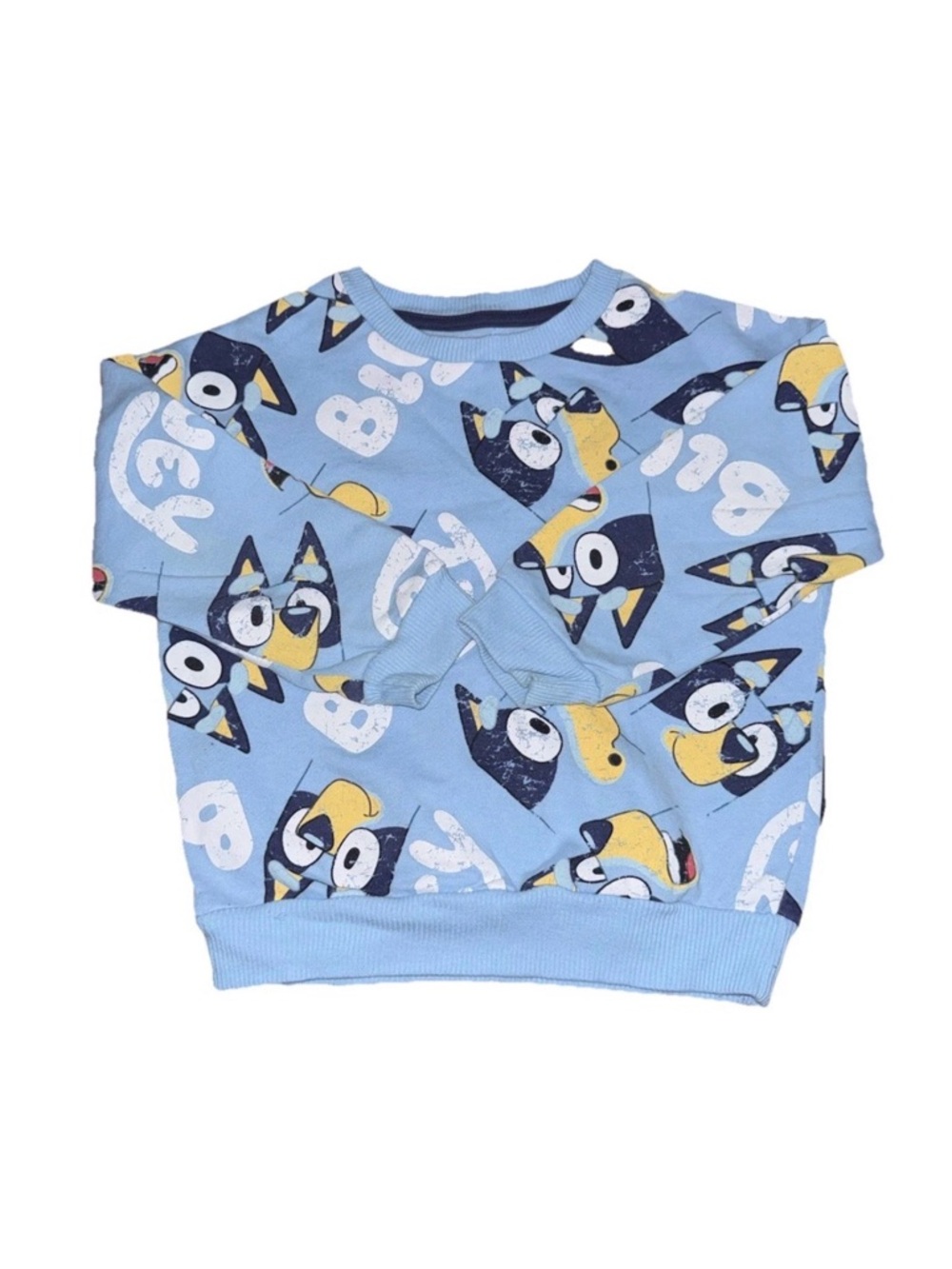 Bluey Cartoon Character Crewneck Sweatshirt for Kids